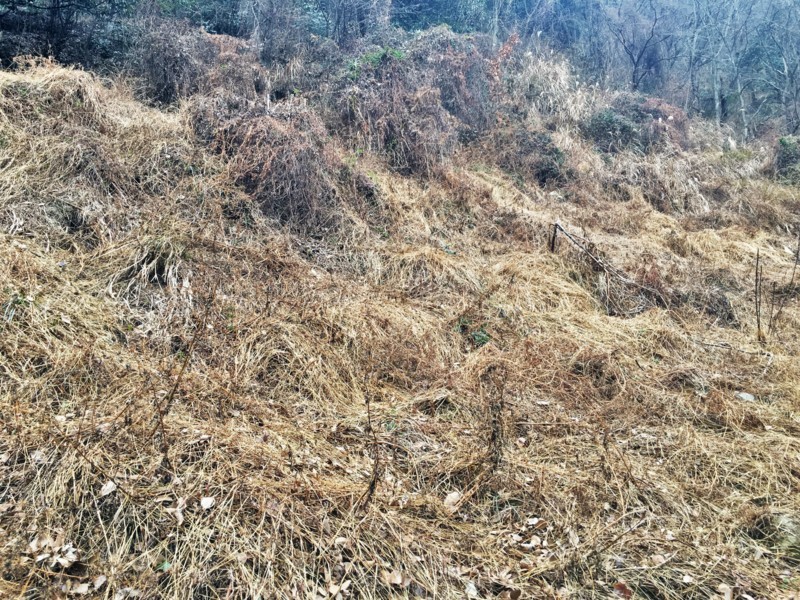 f:id:arkibito:20180107144523j:image:w360