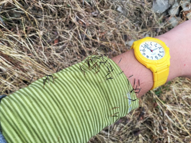 f:id:arkibito:20180107145244j:image:w360