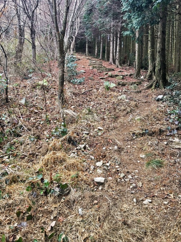 f:id:arkibito:20180107151215j:image:w360