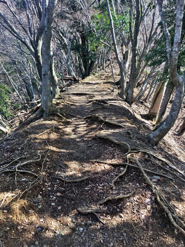 f:id:arkibito:20180324101002j:image:w360