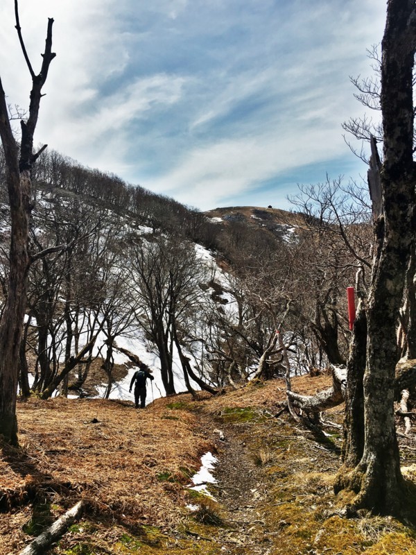 f:id:arkibito:20180324132429j:image:w360