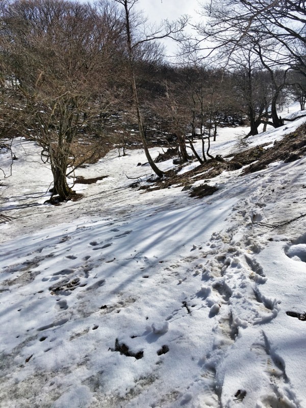 f:id:arkibito:20180324133218j:image:w360