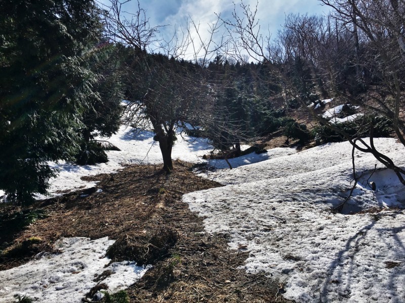 f:id:arkibito:20180324140539j:image:w360