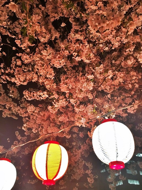 f:id:arkibito:20180328200452j:image:w360