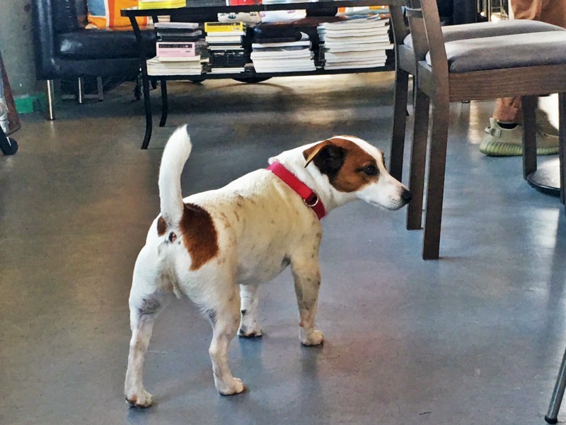 f:id:arkibito:20180421134739j:image:w360