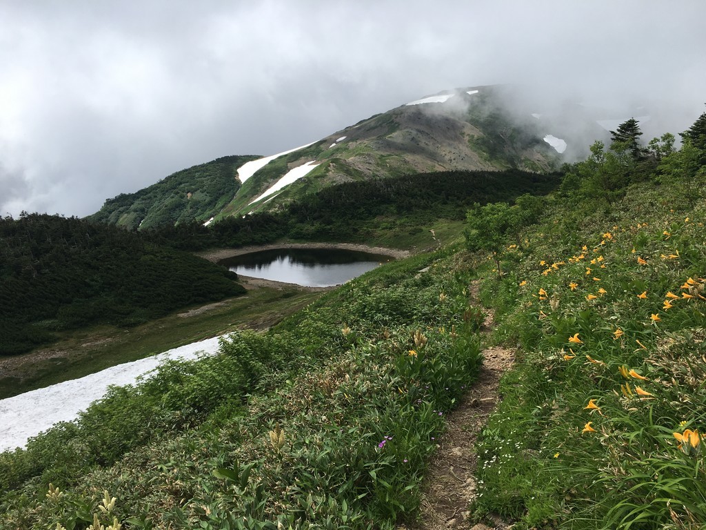 f:id:arkibito:20180723101018j:plain f:id:arkibito:20180723101018j:plain