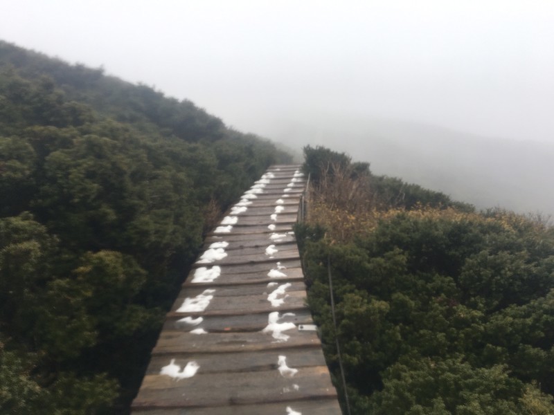 f:id:arkibito:20181117153641j:image:w640 f:id:arkibito:20181117153641j:image:w640