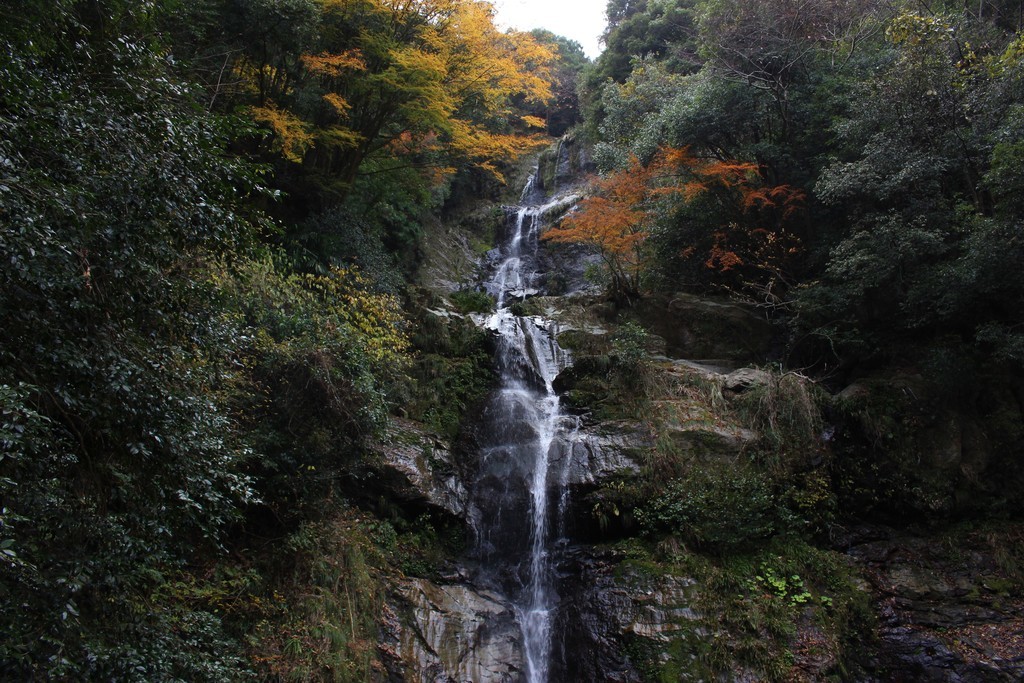f:id:arkibito:20181127145505j:plain