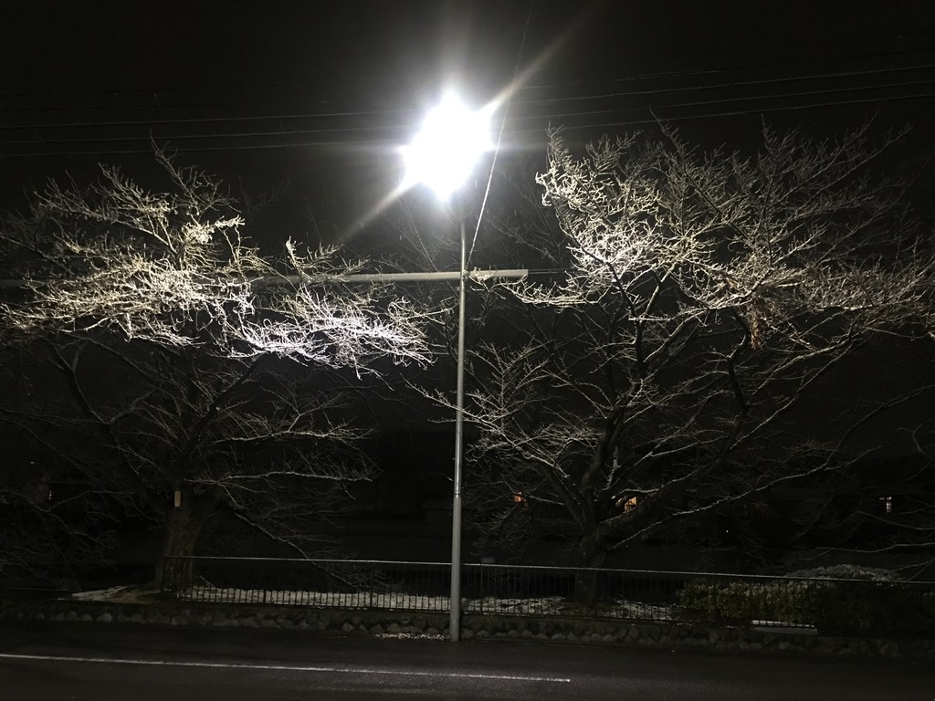 f:id:arkibito:20181228214405j:plain f:id:arkibito:20181228214405j:plain