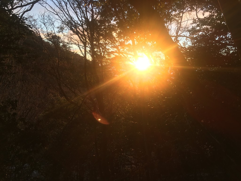 f:id:arkibito:20181230071507j:plain