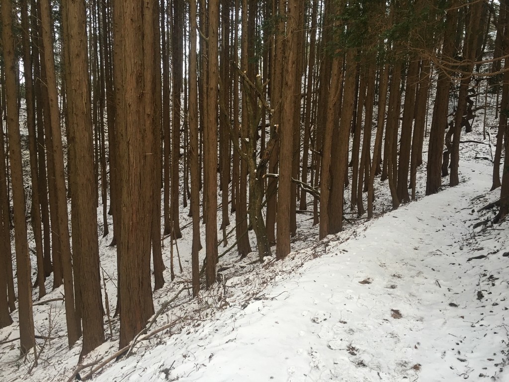 f:id:arkibito:20181230074032j:plain