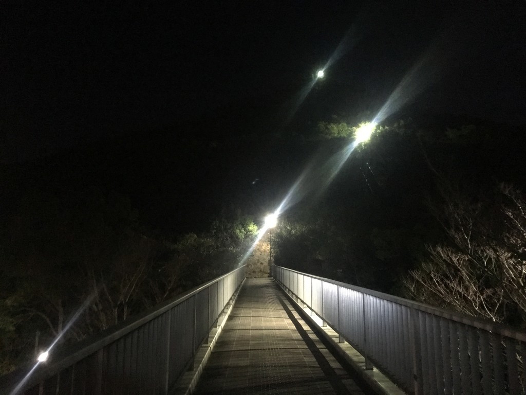 f:id:arkibito:20181230183510j:plain