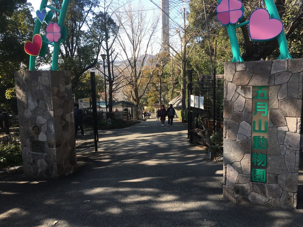 f:id:arkibito:20190202134620j:plain