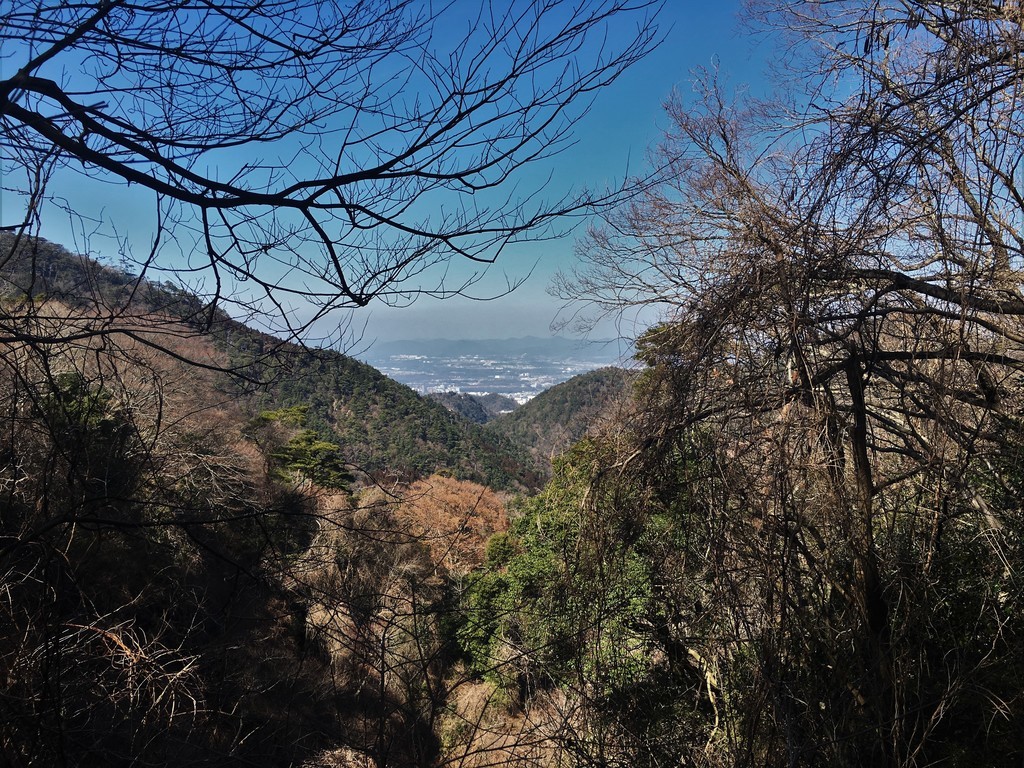 f:id:arkibito:20190225124155j:plain