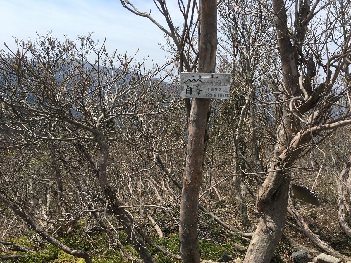 f:id:arkibito:20190503101837j:plain