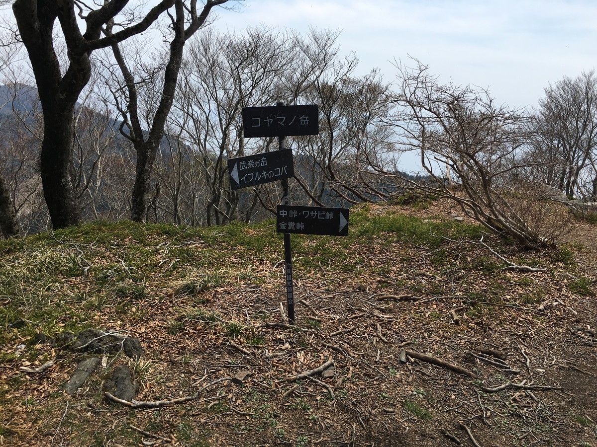 f:id:arkibito:20190503111821j:plain