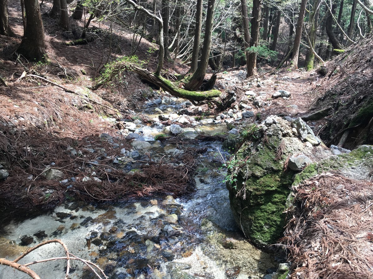 f:id:arkibito:20190503115011j:plain