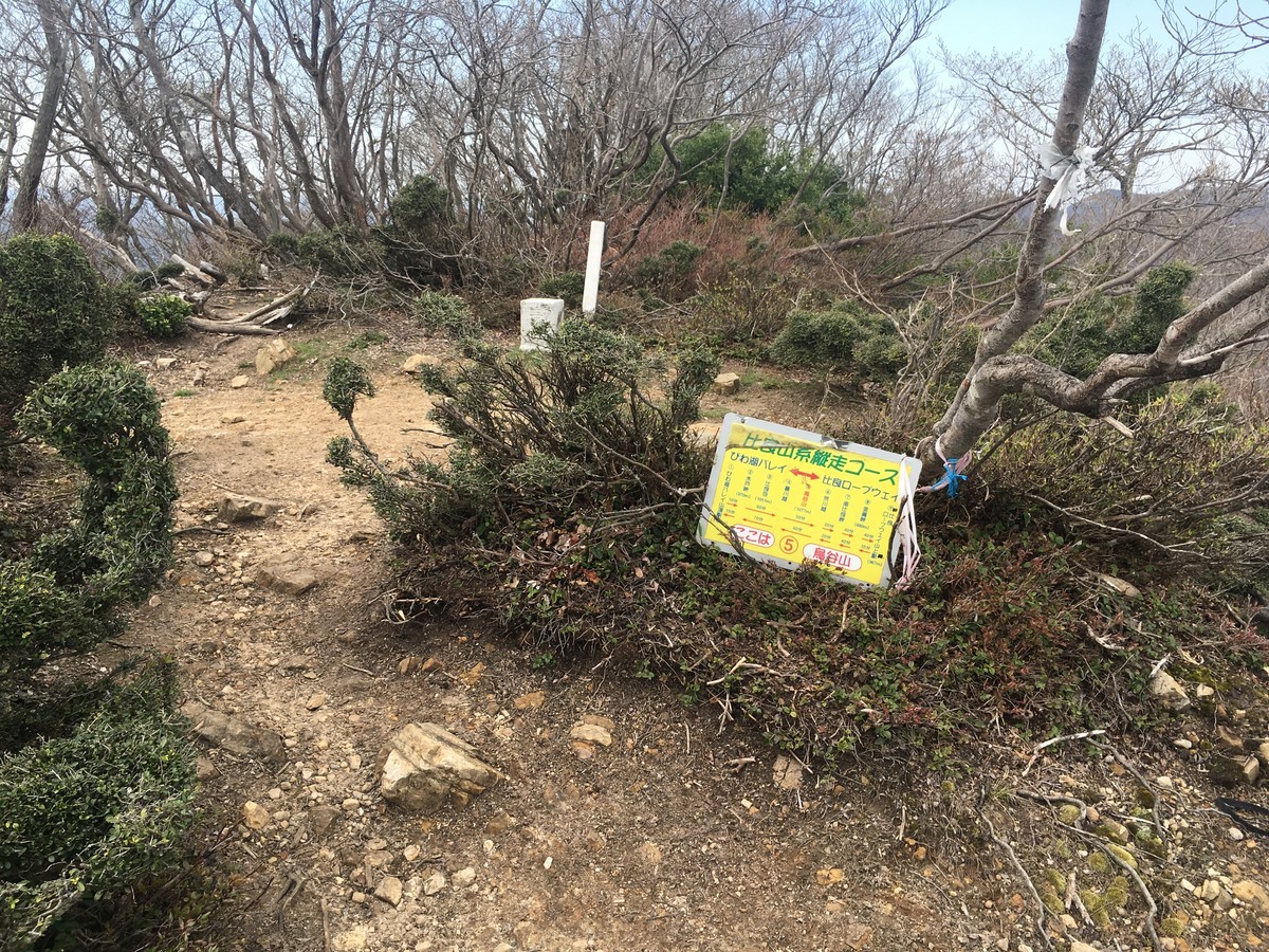 f:id:arkibito:20190503134114j:plain