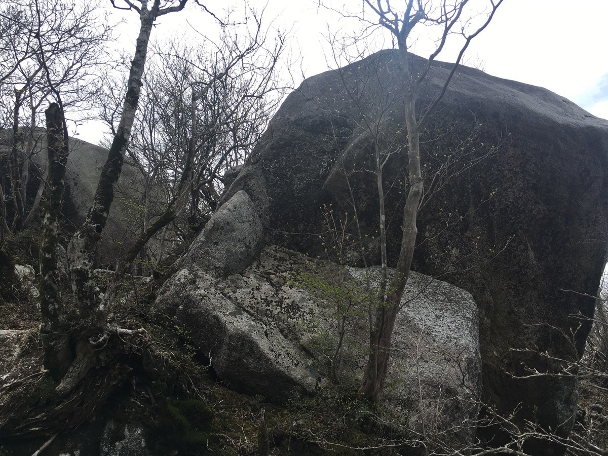 f:id:arkibito:20190503140530j:plain