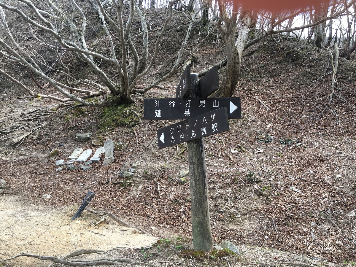 f:id:arkibito:20190503143336j:plain