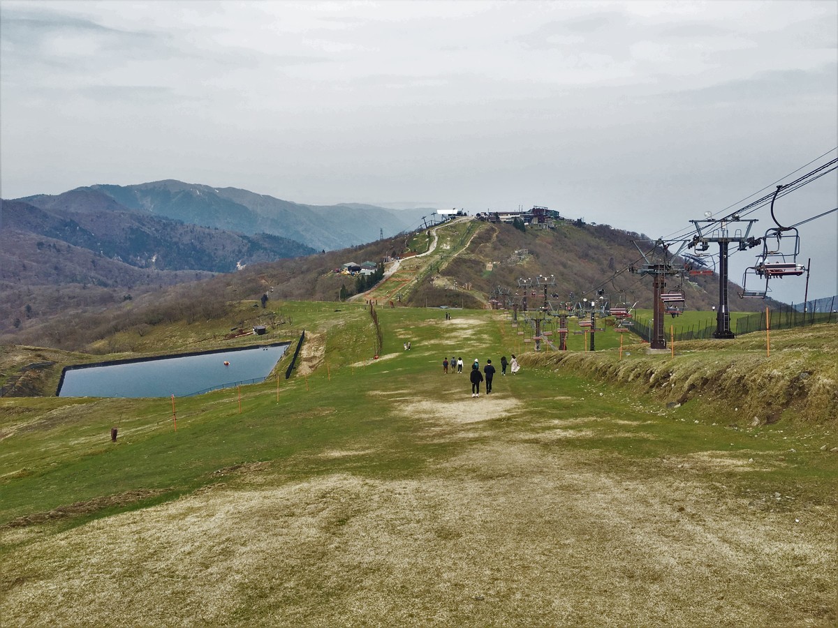 f:id:arkibito:20190503152120j:plain