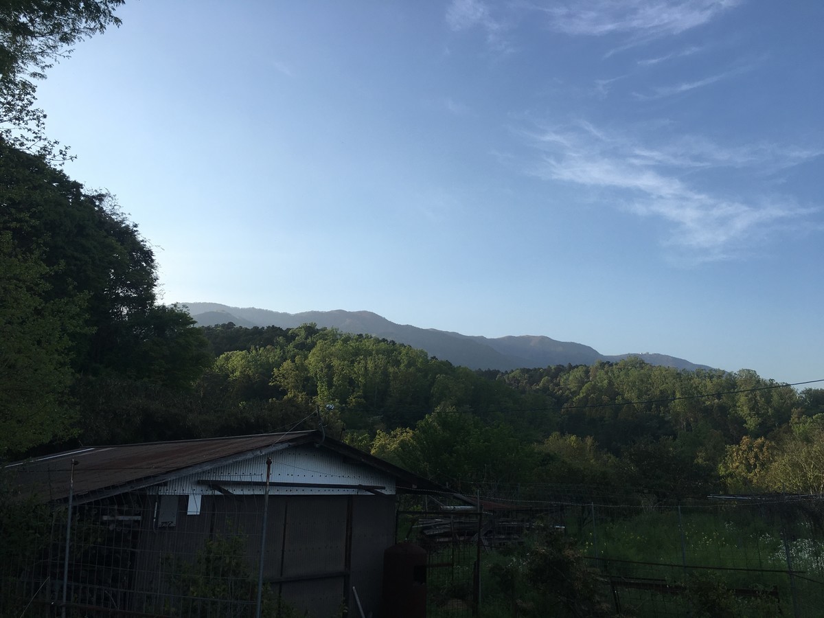 f:id:arkibito:20190503172750j:plain