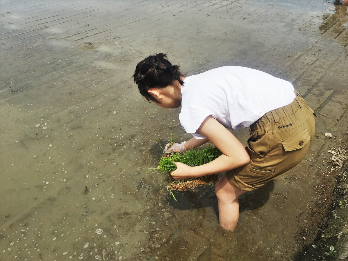 f:id:arkibito:20190512103904j:plain