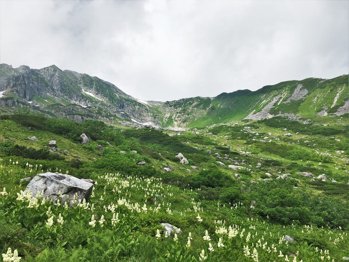 f:id:arkibito:20190729105724j:plain