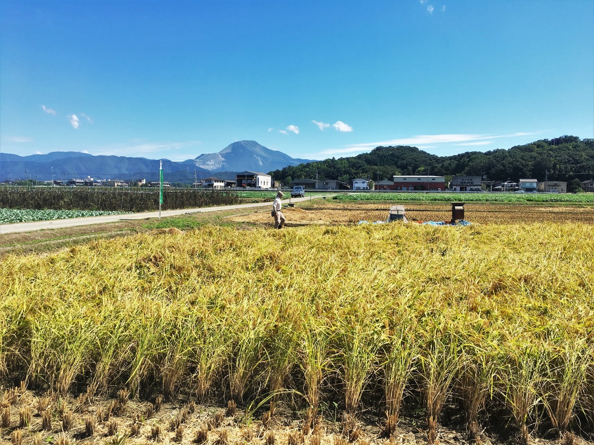 f:id:arkibito:20190908102927j:plain f:id:arkibito:20190908102927j:plain