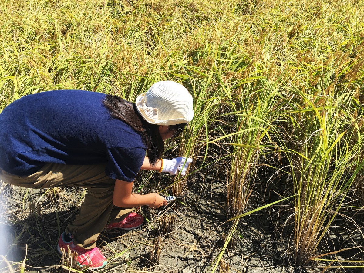 f:id:arkibito:20190908103801j:plain f:id:arkibito:20190908103801j:plain