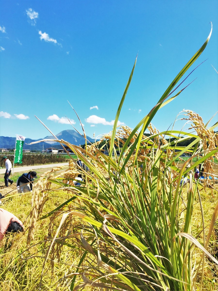 f:id:arkibito:20190908105105j:plain f:id:arkibito:20190908105105j:plain