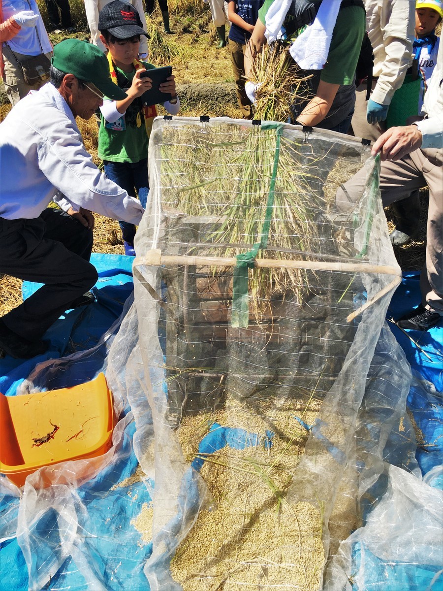 f:id:arkibito:20190908111301j:plain f:id:arkibito:20190908111301j:plain