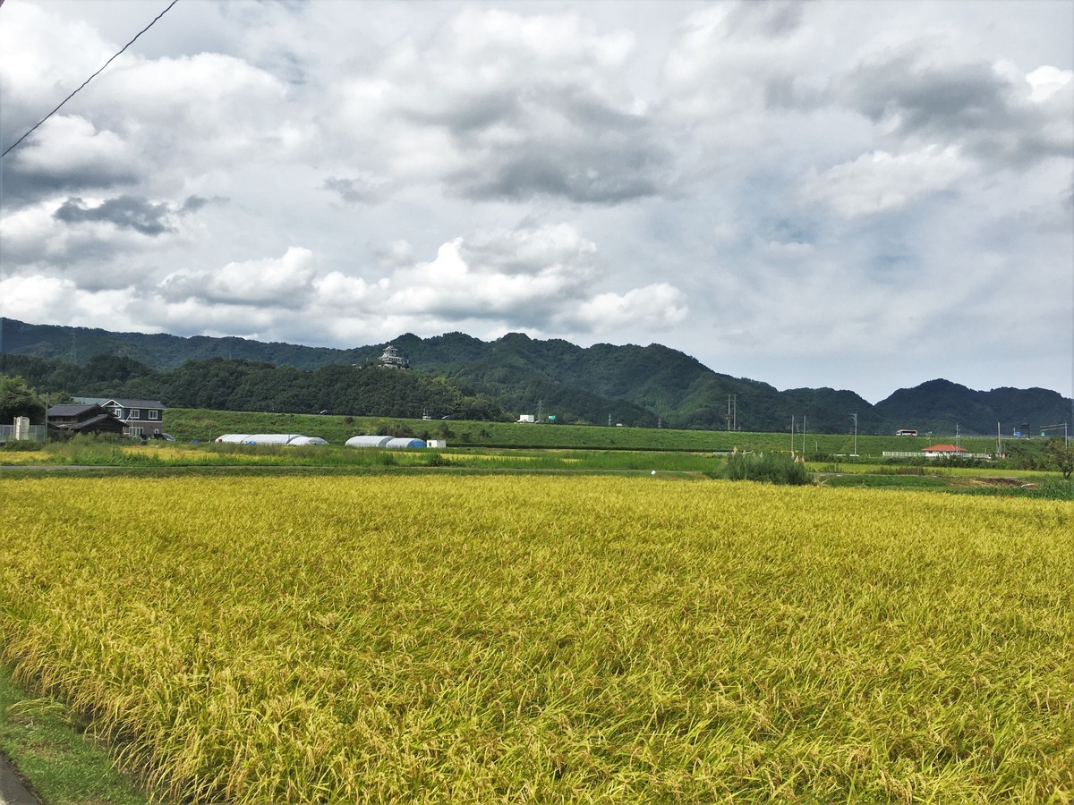 f:id:arkibito:20200922121702j:plain