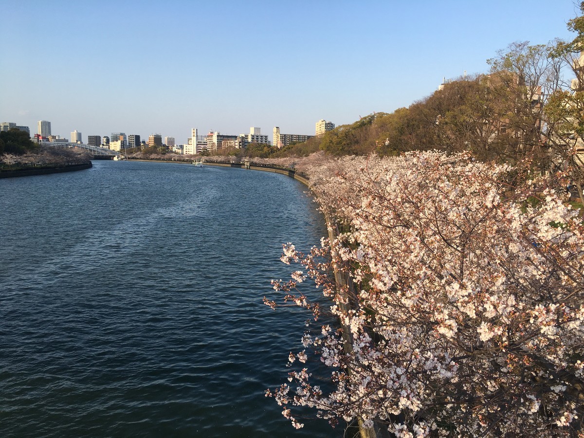 f:id:arkibito:20210326170457j:plain