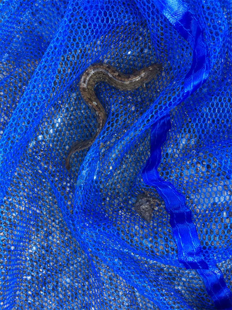 f:id:arkword:20190404174806j:image f:id:arkword:20190404174806j:image