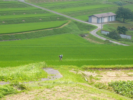 f:id:arlequin_j:20070728111543j:image