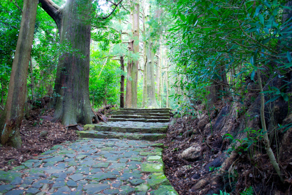 Kumano-kodo