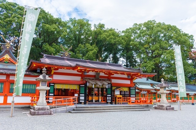写真と本文は関係ありません