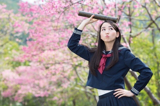 写真と本文は関係ありません