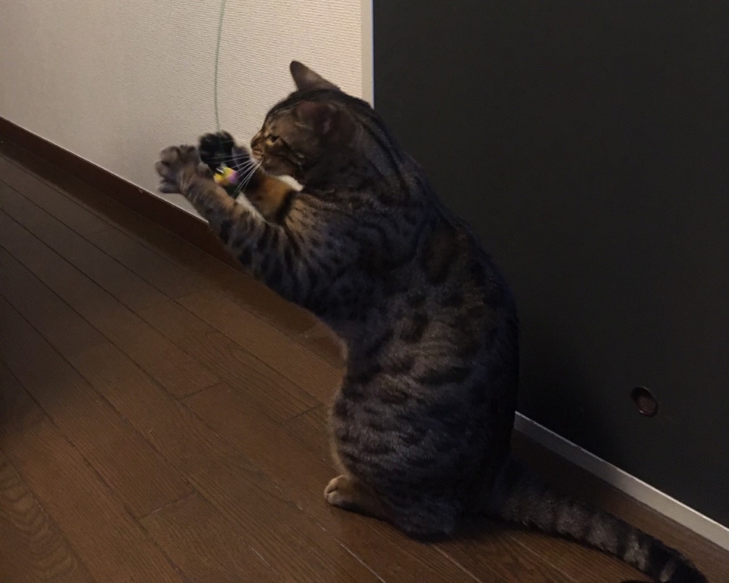 f:id:arma26:20160912153600j:plain