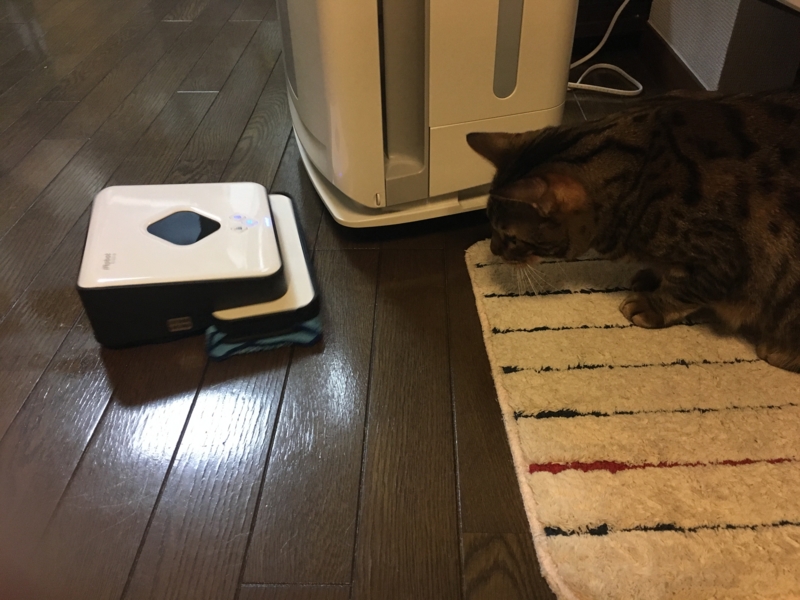 f:id:arma26:20170329152345j:plain