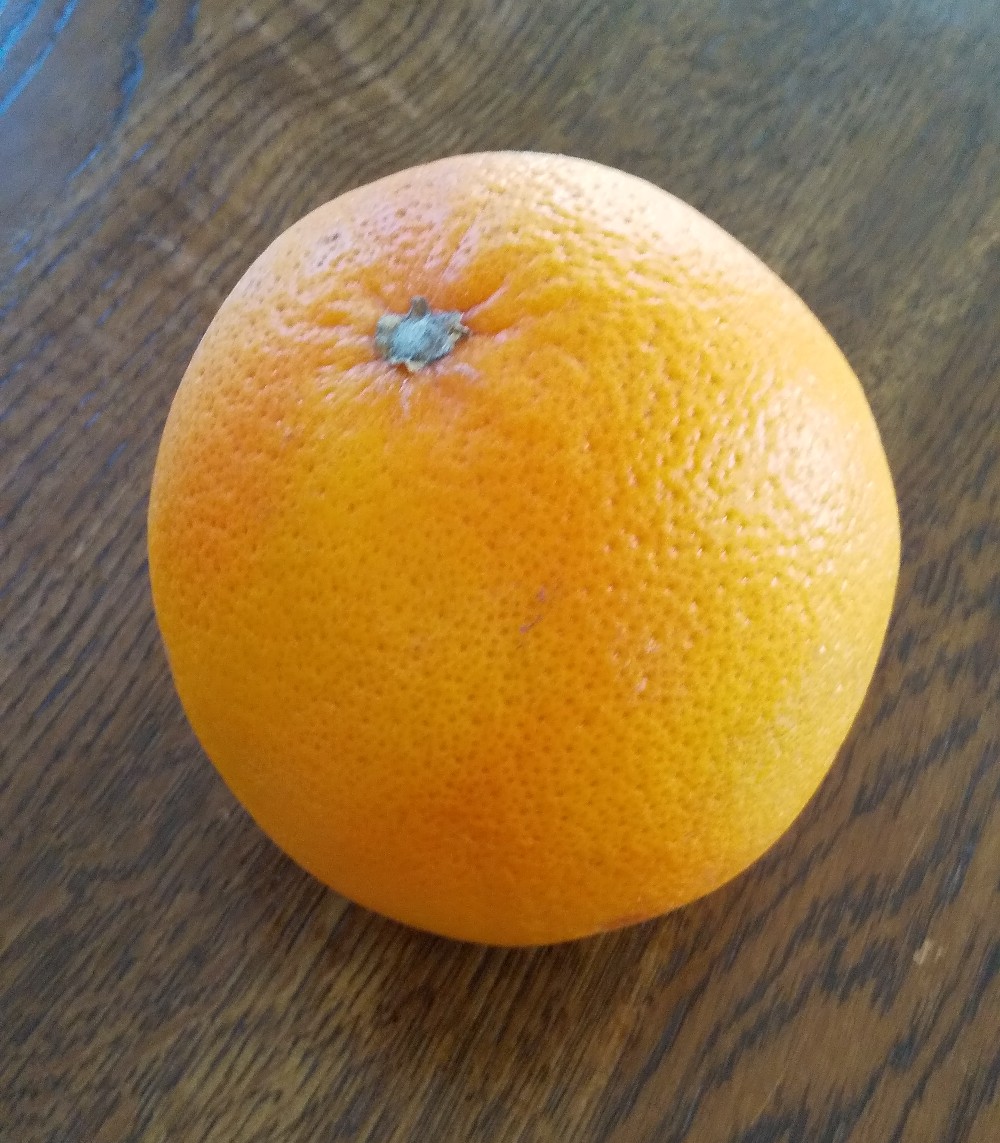 f:id:aroein:20191106131802j:plain f:id:aroein:20191106131802j:plain