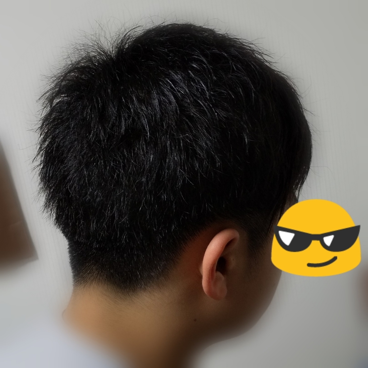 f:id:aroein:20200211162401j:plain f:id:aroein:20200211162401j:plain