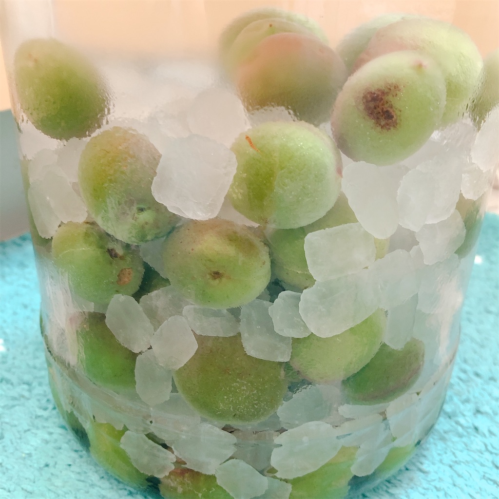f:id:aroma-mallow:20210602123022j:image
