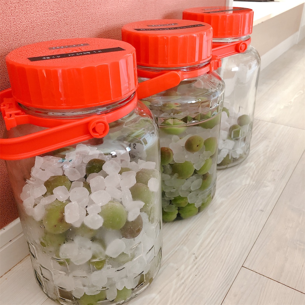 f:id:aroma-mallow:20210602123039j:image