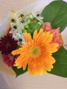 黄色いお花