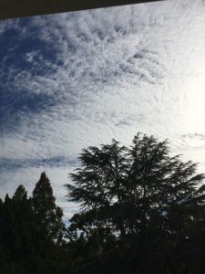 空　木