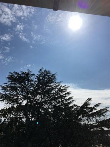 f:id:aroma-olive:20200303132234j:plain f:id:aroma-olive:20200303132234j:plain