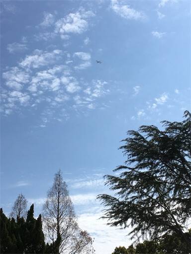 f:id:aroma-olive:20200303132237j:plain f:id:aroma-olive:20200303132237j:plain