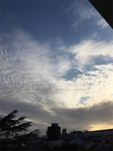 f:id:aroma-olive:20200303180147j:image f:id:aroma-olive:20200303180147j:image